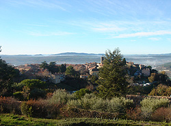 view_1.jpg